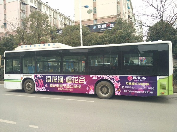 长沙401路公交广告