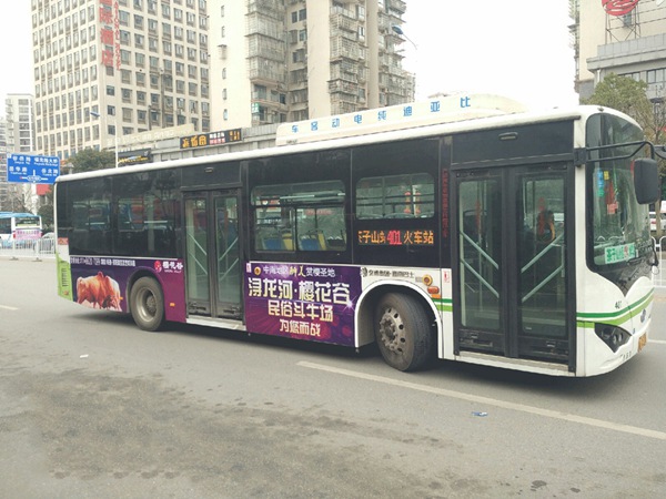 长沙401路公交广告